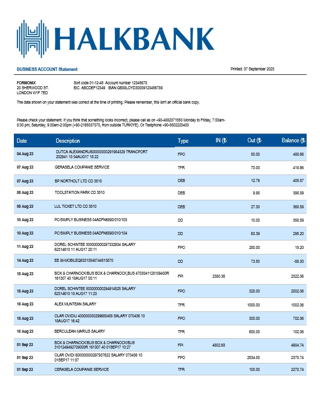Modèle Word et PDF de déclaration commerciale de Halkbank